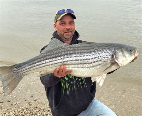 stripersonline new jersey|Guide to Striper Fishing in New Jersey.